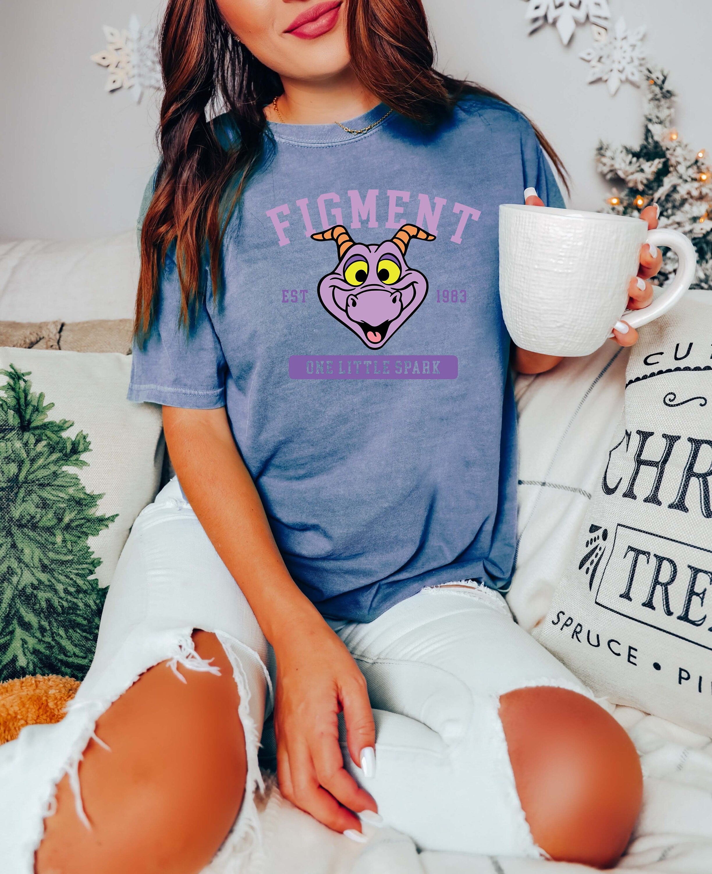 Figment Comfort Color Oversized Graphic Tee Shirt