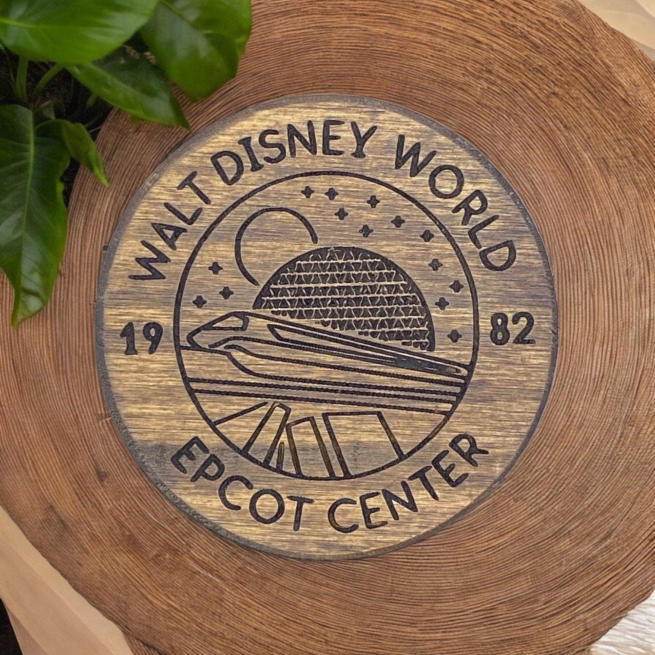 Walt Disney World Coaster Set