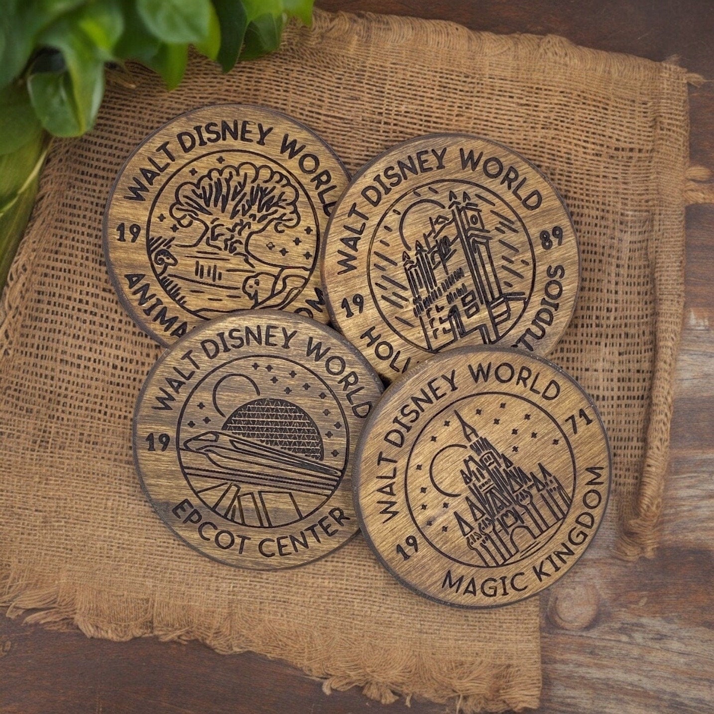 Walt Disney World Coaster Set