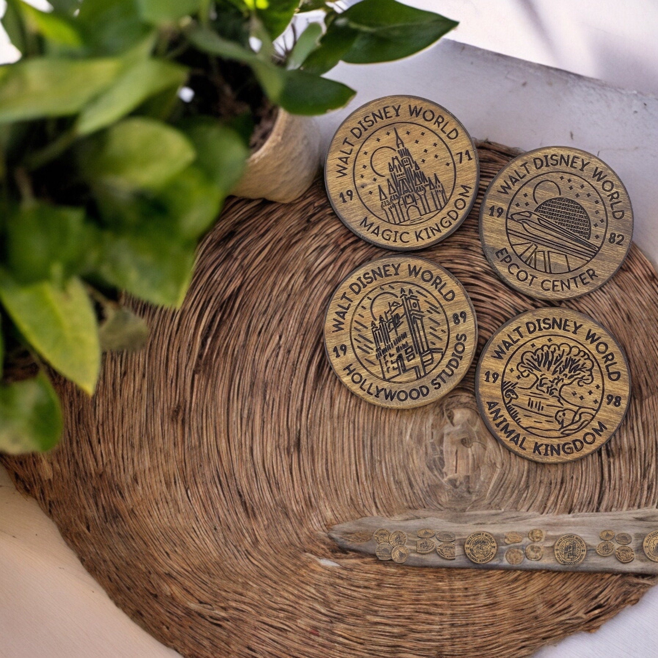 Walt Disney World Coaster Set